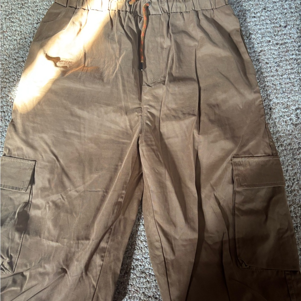 Wild Fable Tan Cargo Pants for Men